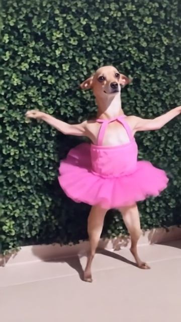 НЕЙРО ШЕДЕВРЫ.