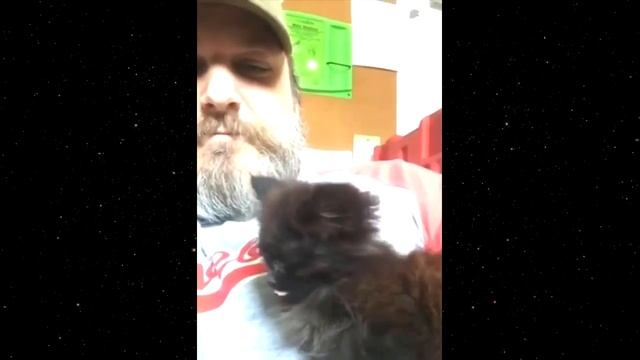 Крохотный заморыш забрался на плечо мужчины и отказался уходить