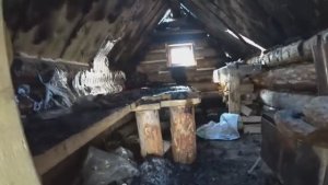 ВЕРНУЛСЯ В ИЗБУ НА ПЕПЕЛИЩЕ А ТАМ? Vestigator FireFox от Олега Гегельского ТЕПЕРЬ НЕ ГОРИТ