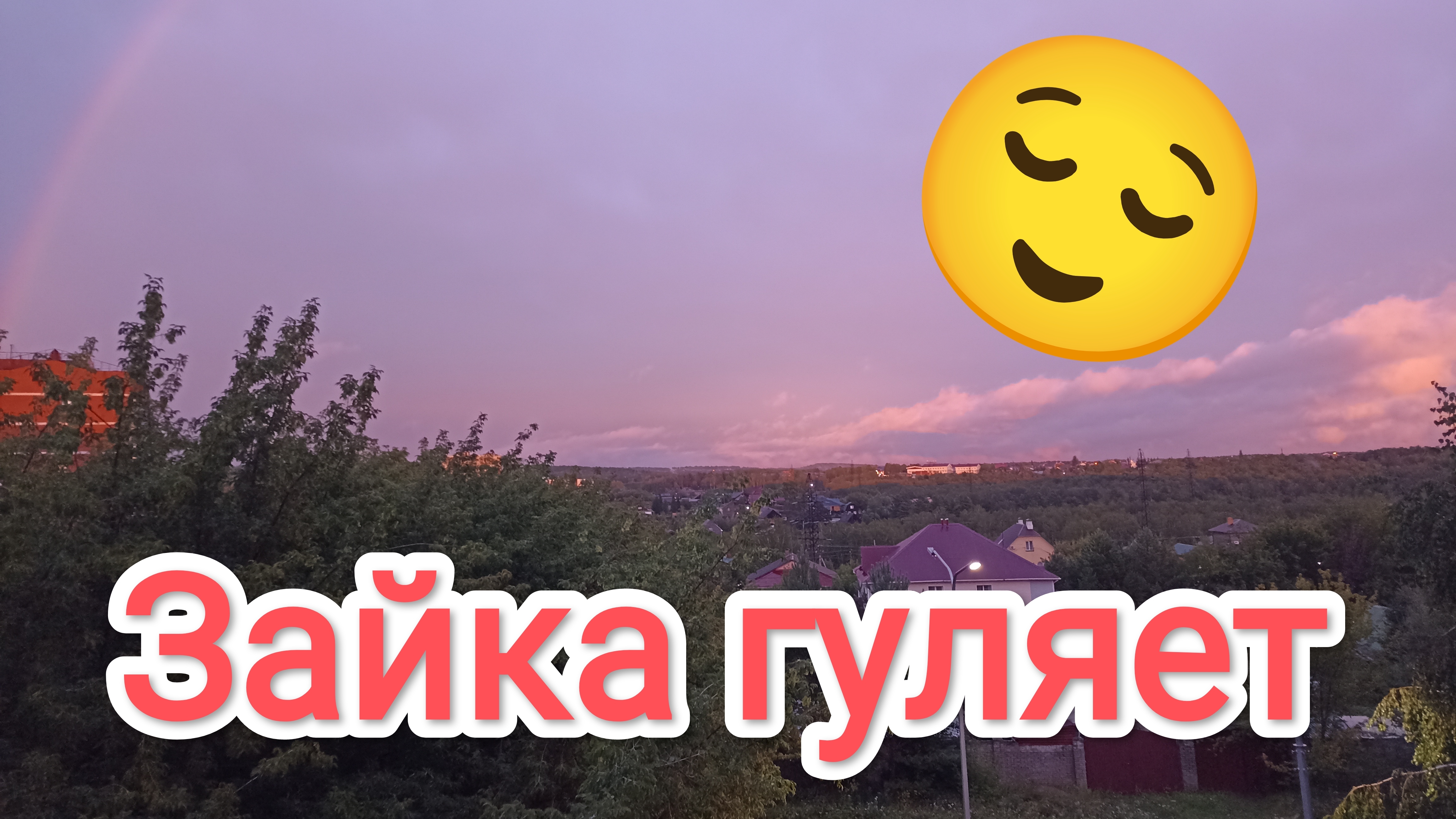 10-08-2025. Пустила Зайку погулять