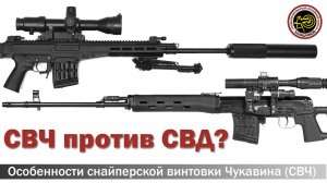СВЧ против СВД?
