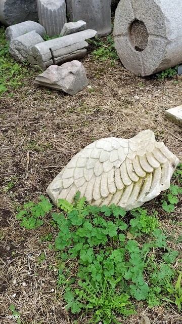 Моими глазами