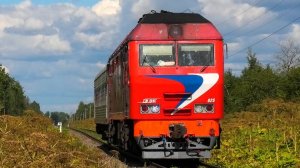 Красный ТЭП70БС-025 с рабочим поездом следует через о.п. 133 км