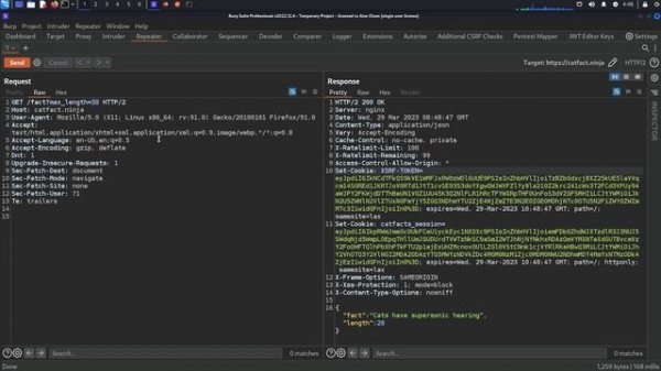 2-intercting with APIs