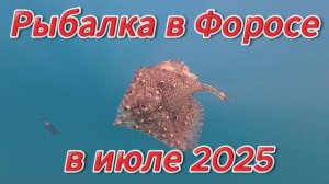 Рыбалка в Форосе в июле 2025