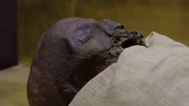 3D-сканирование при изучении и визуализации древней мумии смотреть онлайн