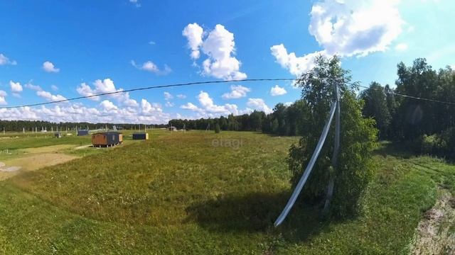 7798209 смотреть онлайн