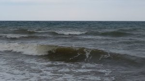 Бетта, август 2025, пляж, развлечения, гости