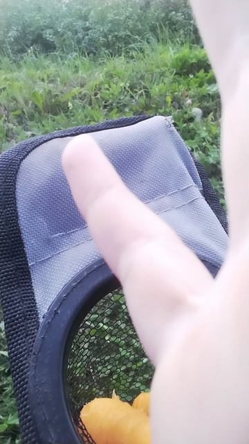 морковки смотреть онлайн