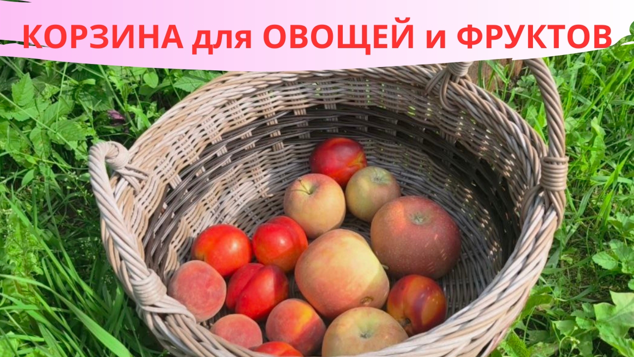 КОРЗИНА для ОВОЩЕЙ и ФРУКТОВ смотреть онлайн