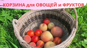 КОРЗИНА для ОВОЩЕЙ и ФРУКТОВ