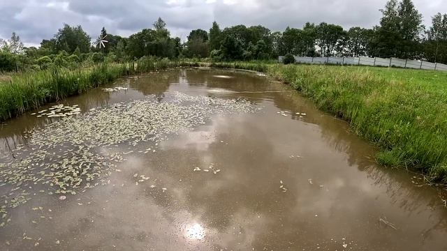 Поймал рыбу ! Выпущу фазана ! ХУТОР В ЛЕСУ №763 смотреть онлайн