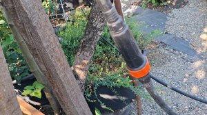 Делаем капельный полив.