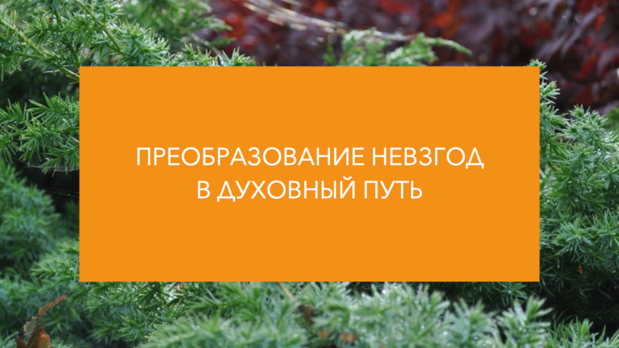 Тибетский буддизм 14: Преобразование невзгод в духовный путь смотреть онлайн