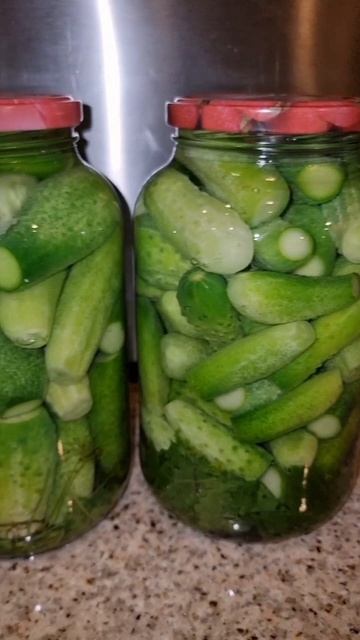 Хрустящие Огурцы на зиму!#заготовки смотреть онлайн