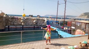 Развлечения дельфинарий