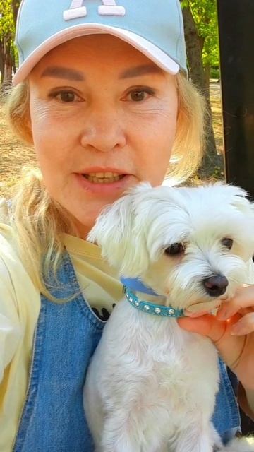 Всё к лучшему