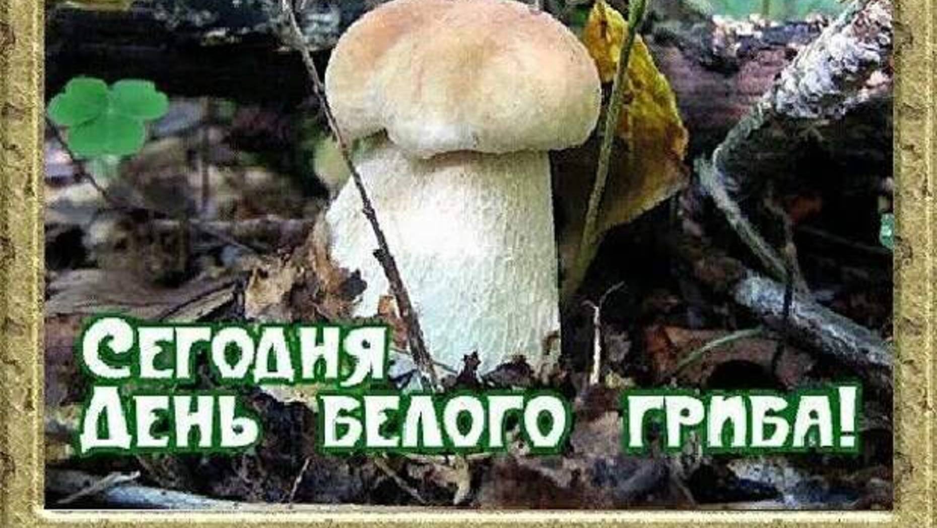 Песни, спетые сердцем