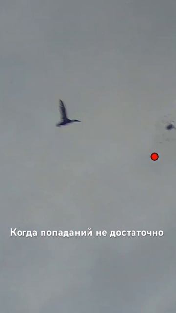 Попал же ♂️