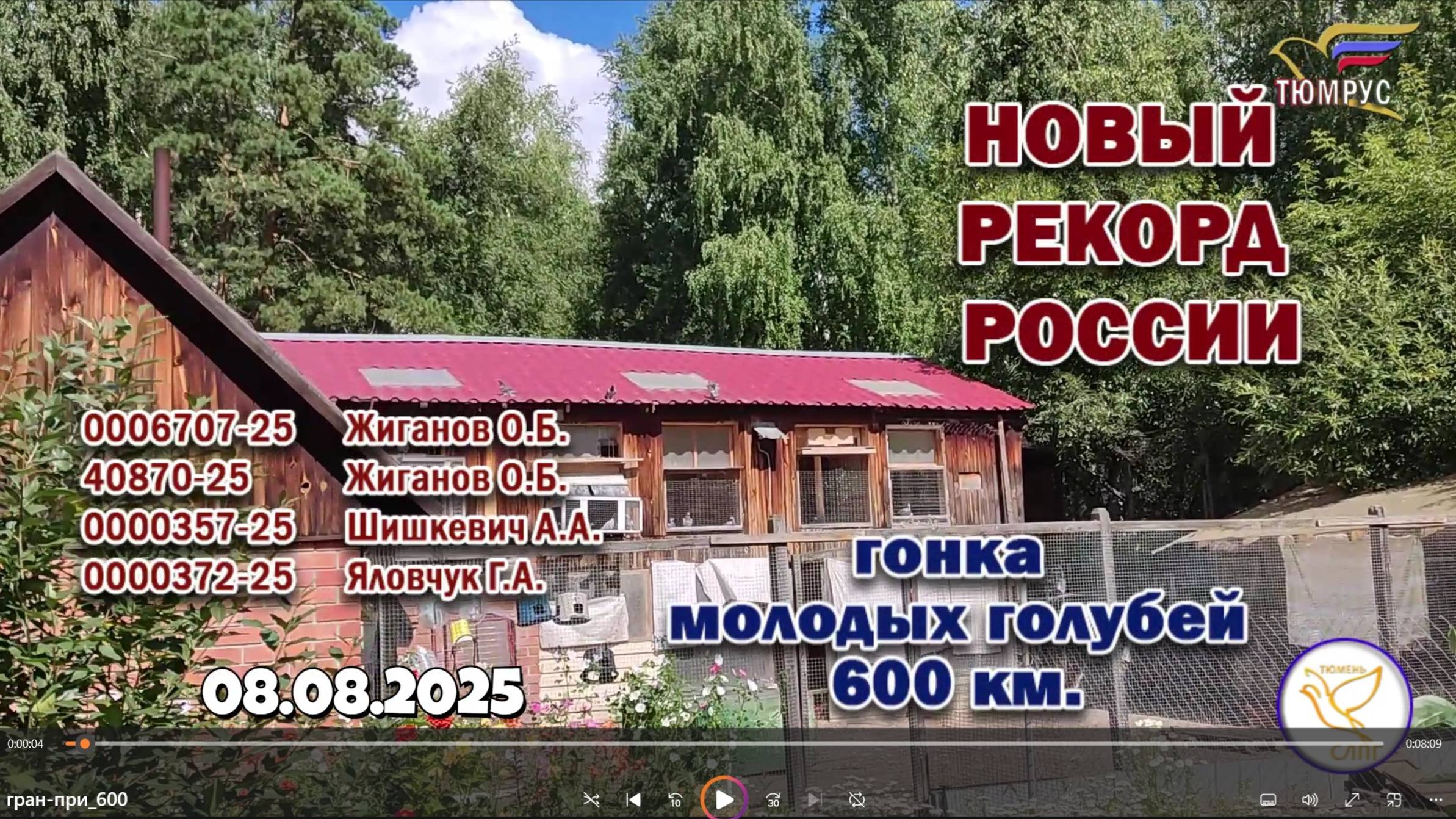 Дерби 600 км - голубята