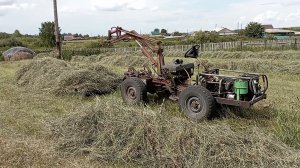 Заготовка сена. Второй укос( отава) в огороде.