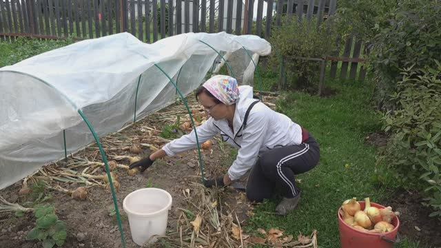 6 соток 8 августа 2025 года. Хроника