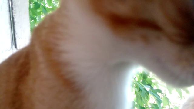 Жаркий день на даче смотреть онлайн