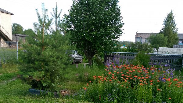 Secret Garden (Rolf Lovland)(кавер )
https://www.realrocks.ru/id248279/video/144509/