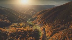 ЭТА МУЗЫКА ПРИНОСИТ ИСТИННОЕ УДОВОЛЬСТВИЕ. ОНА УСПОКАИВАЕТ И ПОМОГАЕТ РАССЛАБИТЬСЯ