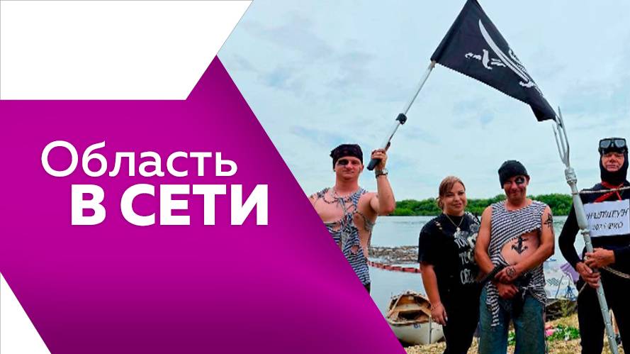 Область в сети № 315