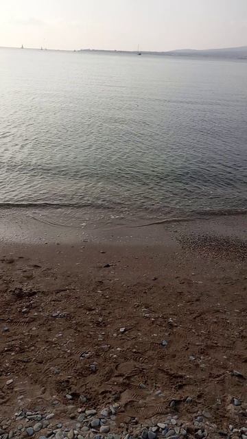 Рома гладит море в Геленджике. смотреть онлайн