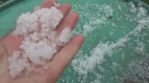 Град и ливни не дают выйти в огород! Последние новости. Ольга Чернова ОГОРОДНАЯ АЗБУКА.