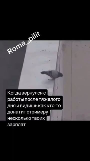#знакомо #жиза #прикол #юмор #смех смотреть онлайн