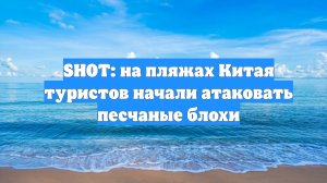 SHOT: на пляжах Китая туристов начали атаковать песчаные блохи