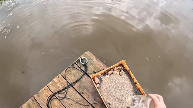 Продал экскаватор ! Цыплята переехали ! ХУТОР В ЛЕСУ №728 смотреть онлайн