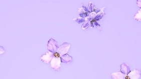 влог с детьми