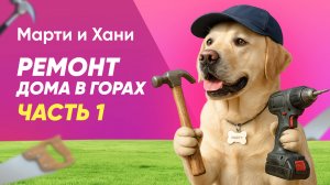 РЕМОНТ ДОМА МЕЧТЫ В ГОРАХ / ЧАСТЬ 1 / СПИМ НА САПАХ / ЛАБРАДОРЫ НА ЦЕПИ / ДОРОГО ИЛИ НЕТ?