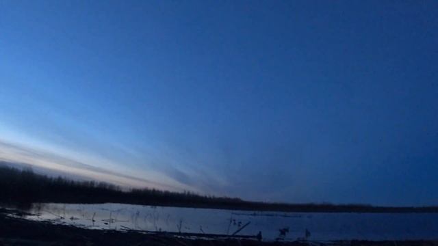 Лучшая зорька 2021 года Часть 2 / охота на гуся / красивые налеты / Саха Якутия