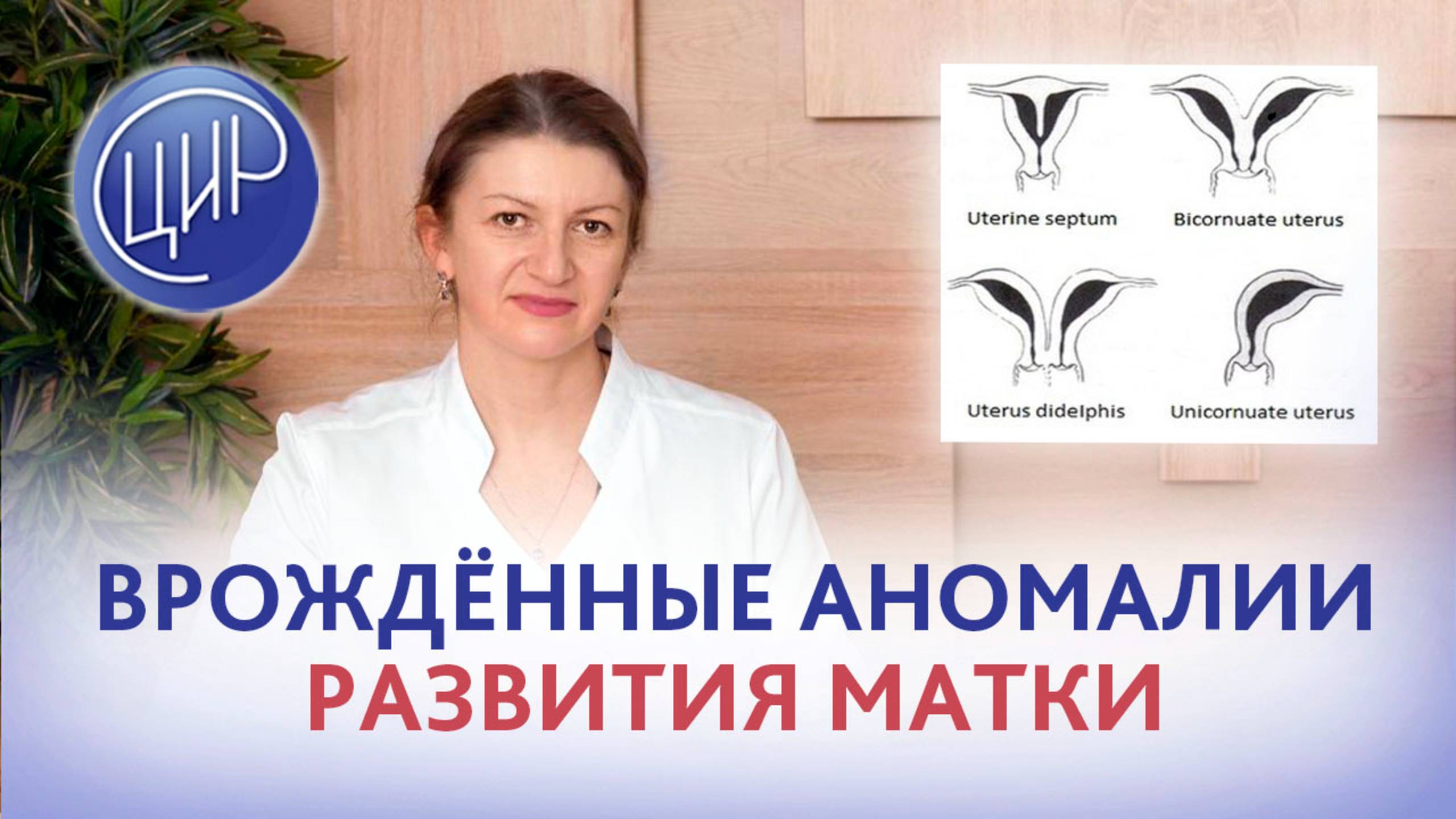 Врождённые аномалии развития матки и бесплодие. Светлана Николаевна Дементьева, акушер-гинеколог ЦИР смотреть онлайн