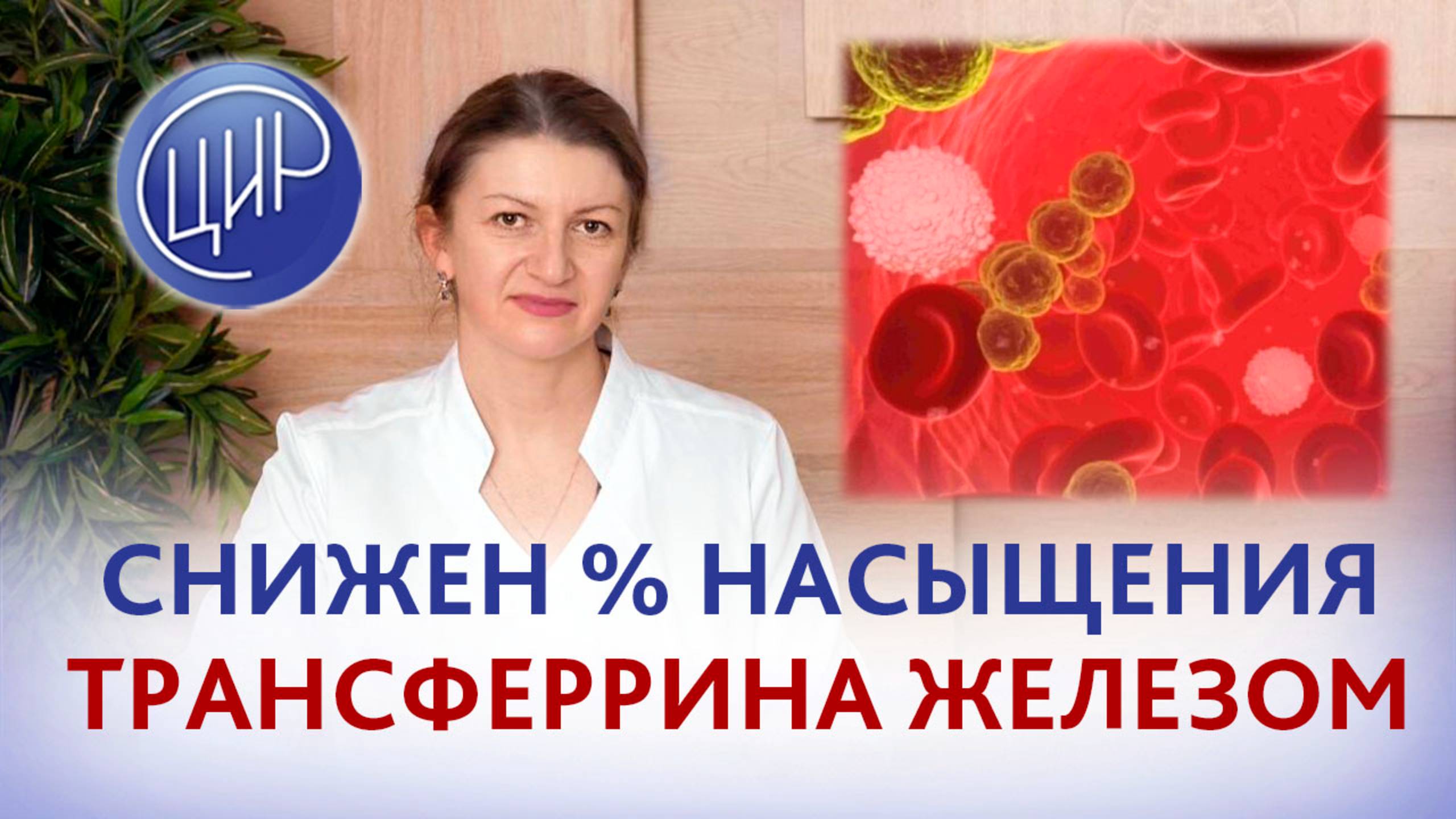 Снижен % насыщения трансферрина железом при предрасположенности к избыточному накоплению железа.