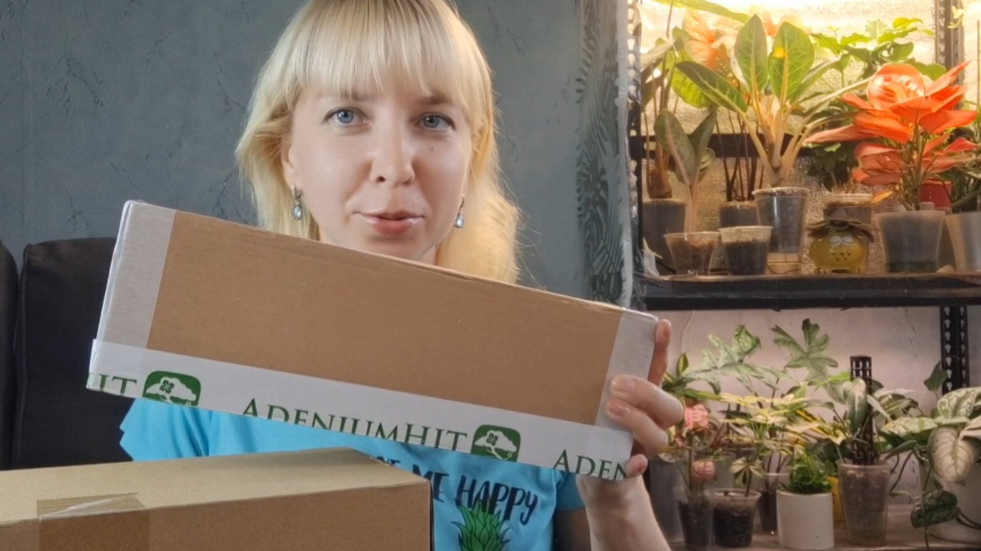 Распаковка покупок с Озон, прислали не то растение((( смотреть онлайн