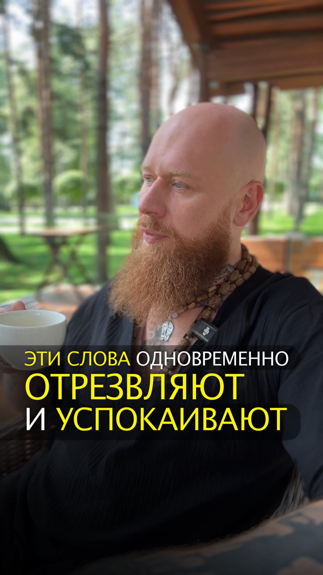 Эти слова одновременно отрезвляют и успокаивают смотреть онлайн