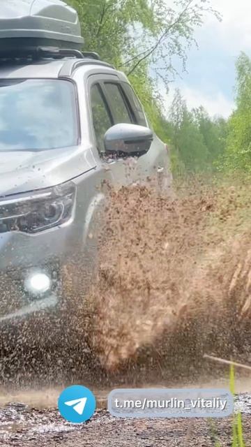 Oting Paladin смотреть онлайн