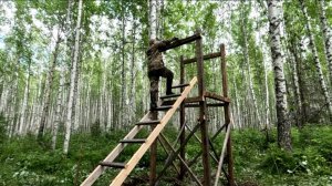 ОХОТА не за горами. Еду в тайгу. Строю вышку.
