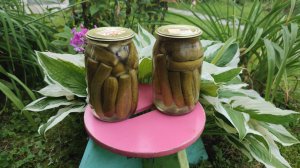 Маринованные огурцы на зиму.