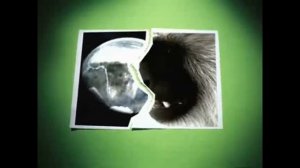 Все о ВИЧ.  История распространения.