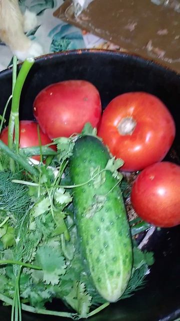 САЛАТ ОВОЩИ С РЫБОЙ смотреть онлайн