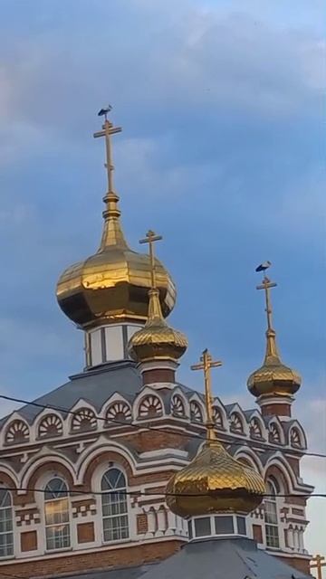 Аисты на храме.🙏 смотреть онлайн