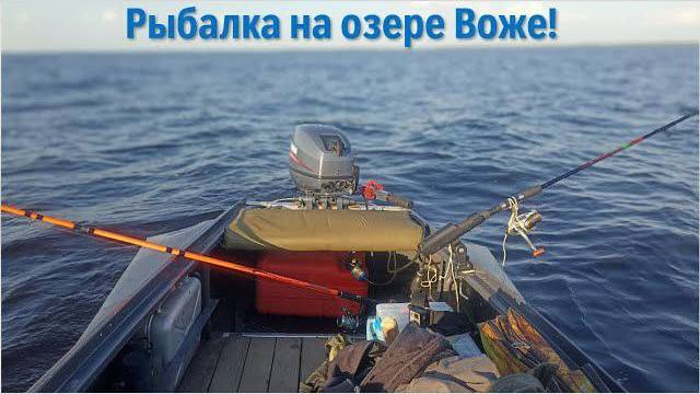 Спиннинг в дугу! Ловим судака на озере Воже!