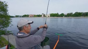 Ловля фидером на течении. Самая эффективная рыбалка.